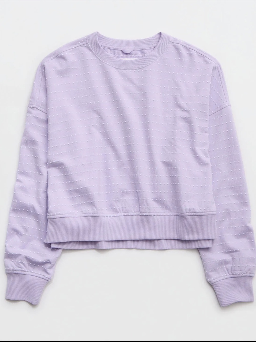 Aerie Take It Easy Crew Sweatshirt Lilac Embroidered Dots